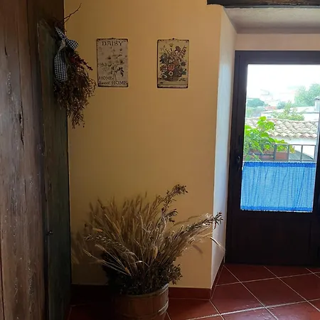 Ceclavinn * Ceclavin