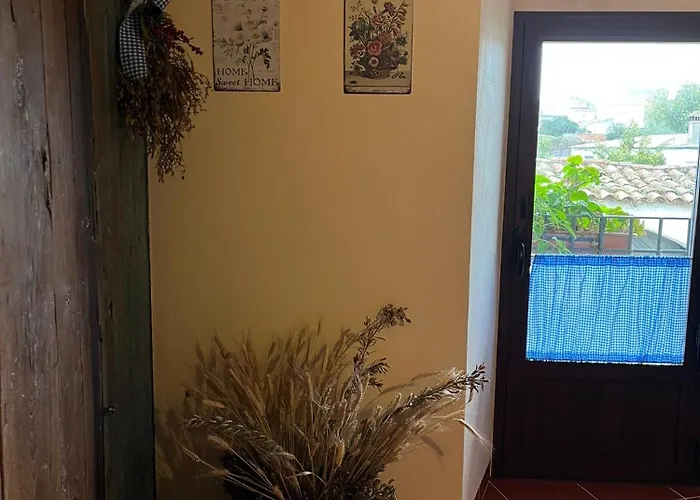 Ceclavinn * Ceclavin